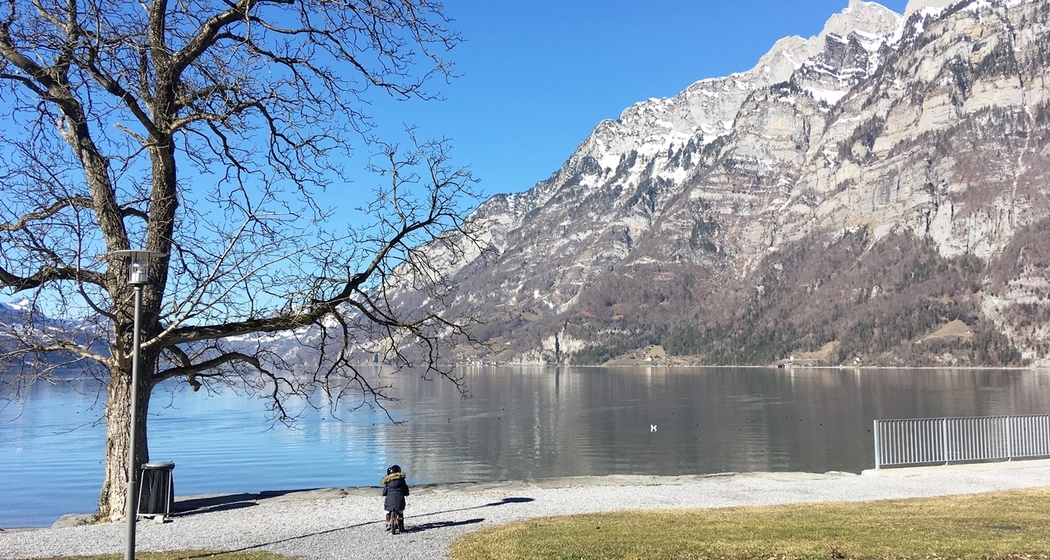 Ferienwohnung Resort Walensee Nr. 99 (tom_tds00020012432191826_image)