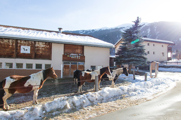 Paclera Hof mit Wohnaus, Stall und Koppel