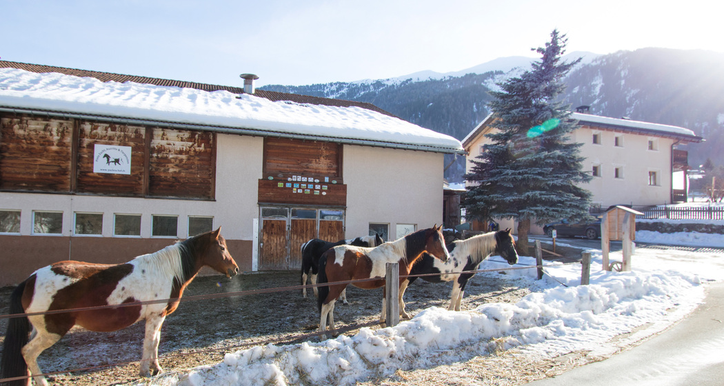 Paclera Hof mit Wohnaus, Stall und Koppel