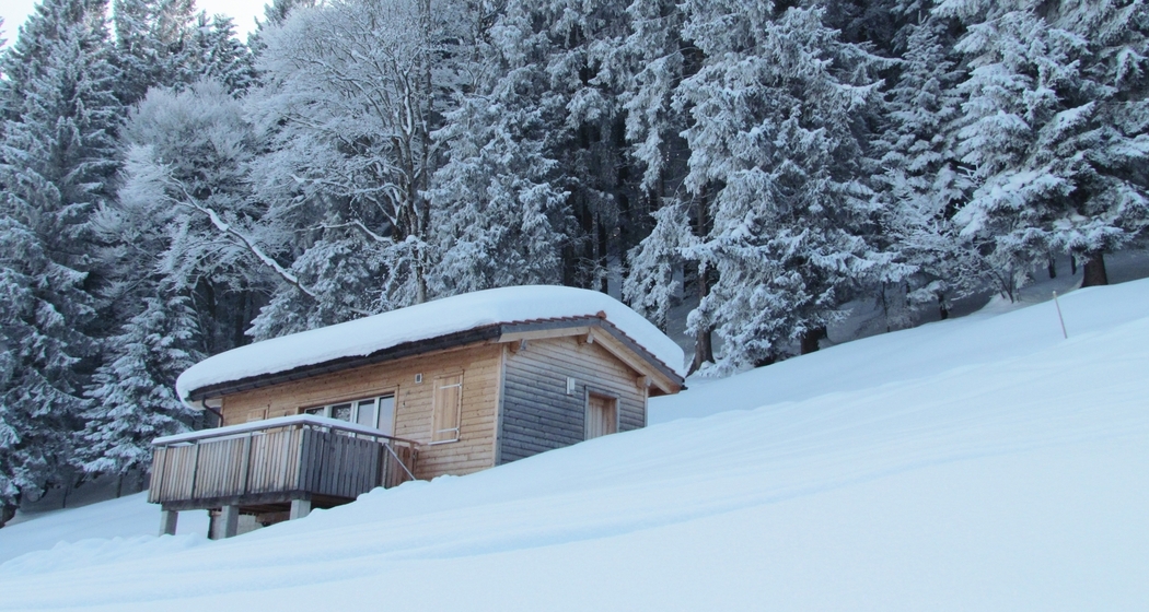 Mittleres Waldwiesli (tom_tds00020012542669521_image)