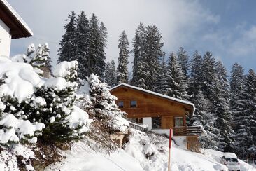 Ferienhaus bim Waldi im Winter