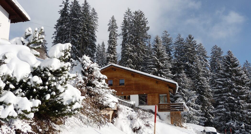Ferienhaus bim Waldi im Winter