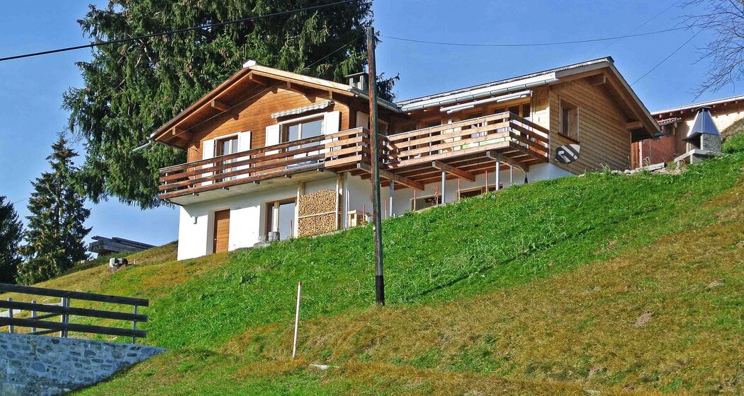 Larix Aussenansicht Sommer