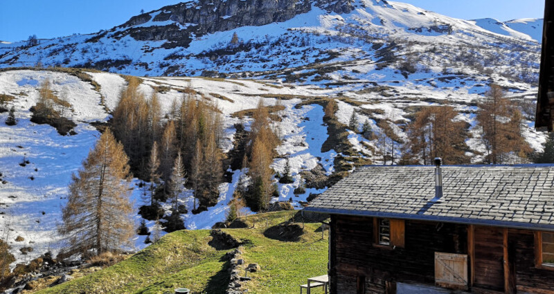 Maiensäss Larasch (tom_tds00020012646633861_image)