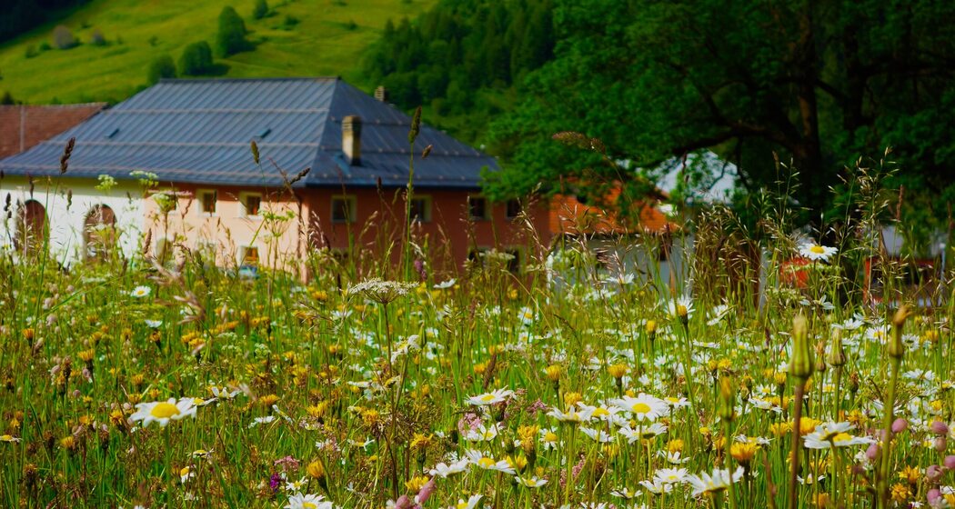 Ferienwohnung Chasa Turettas (tom_tds00020012737471328_image)