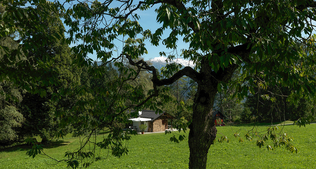 Holzerheim freistehend