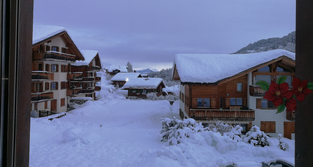 Ferienwohnung Anemone Fahe - Aussicht Winter