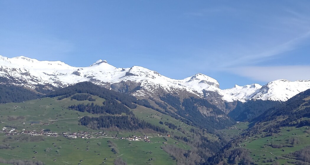 Ferienwohnung Seraina, Obersaxen, Valata - Ansicht Sommer