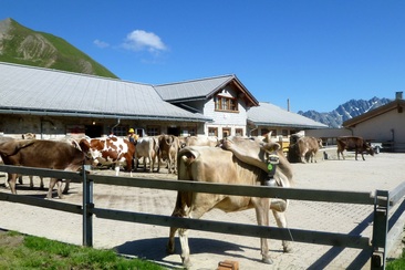 Alp Bella Führung