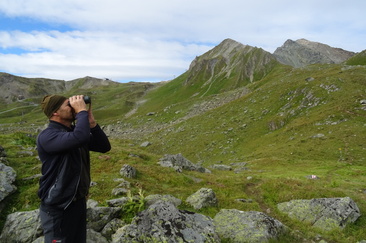 Wildbeobachtung Martin Valsecchi
