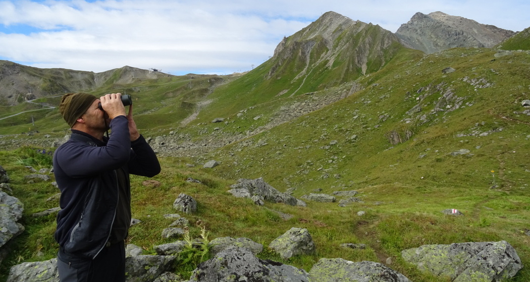 Wildbeobachtung Martin Valsecchi