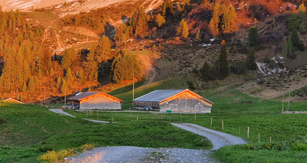 Alp Casanna oberhalb Klosters