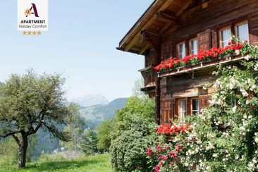 Aussenansicht Sommer