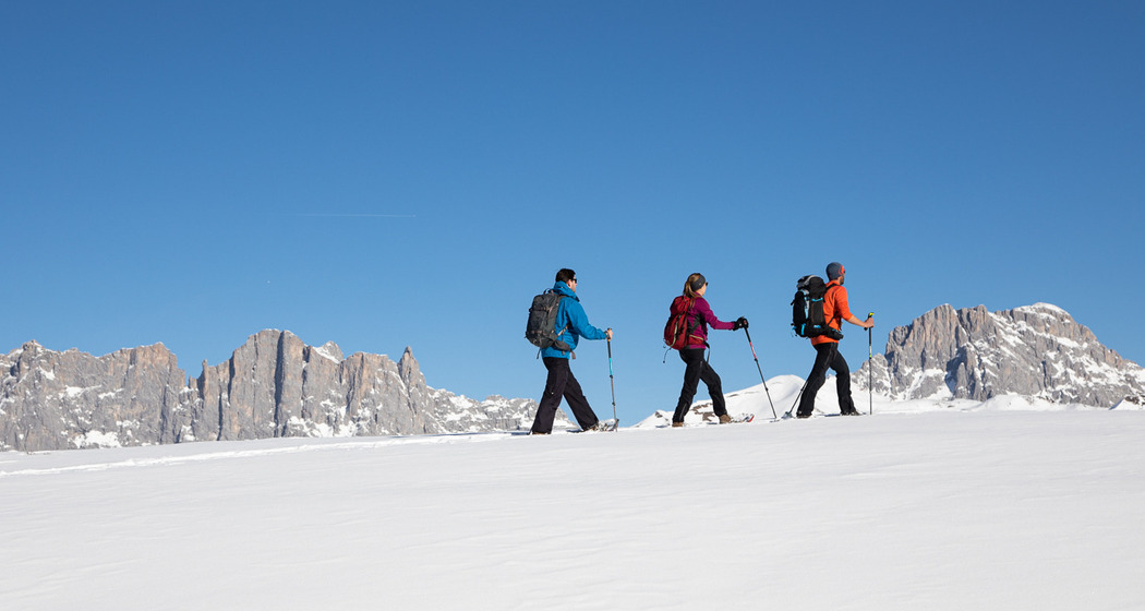 Schneeschuh-Tagestour