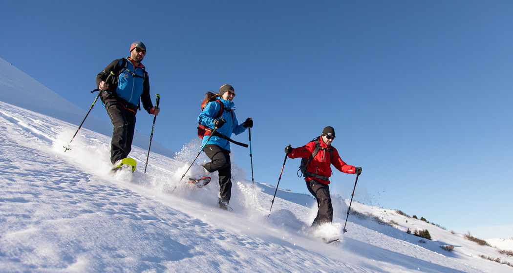 Schneeschuh-Tagestour