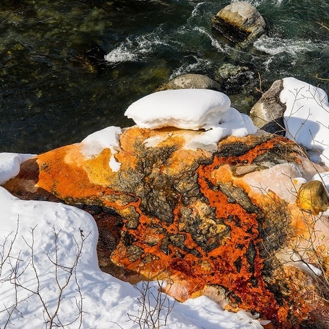 Quelltuff einer Mineralquelle