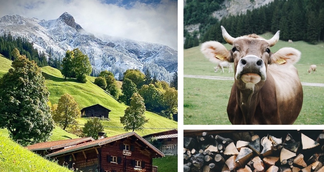 Pure Bündner Bergferien