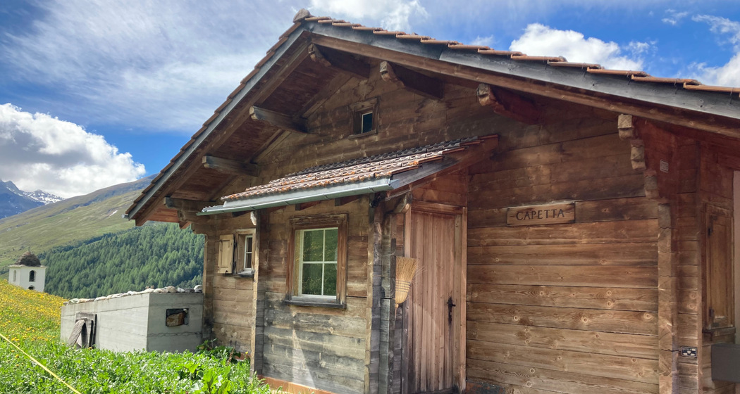 Chalet Capetta - 3 1/2 Zimmer-Wohnung mit Balkon/Garten (tom_tds00020013715908497_image)