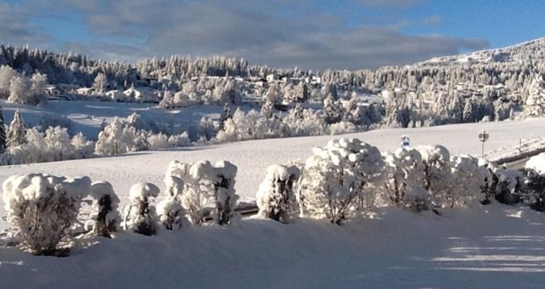 Casa Marcau (tom_tds00020014079282393_image)