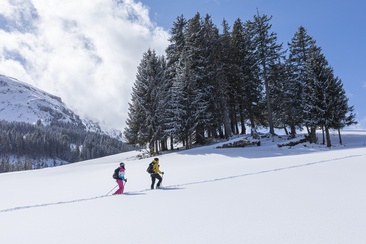Schneeschuhwanderung Schönhalden