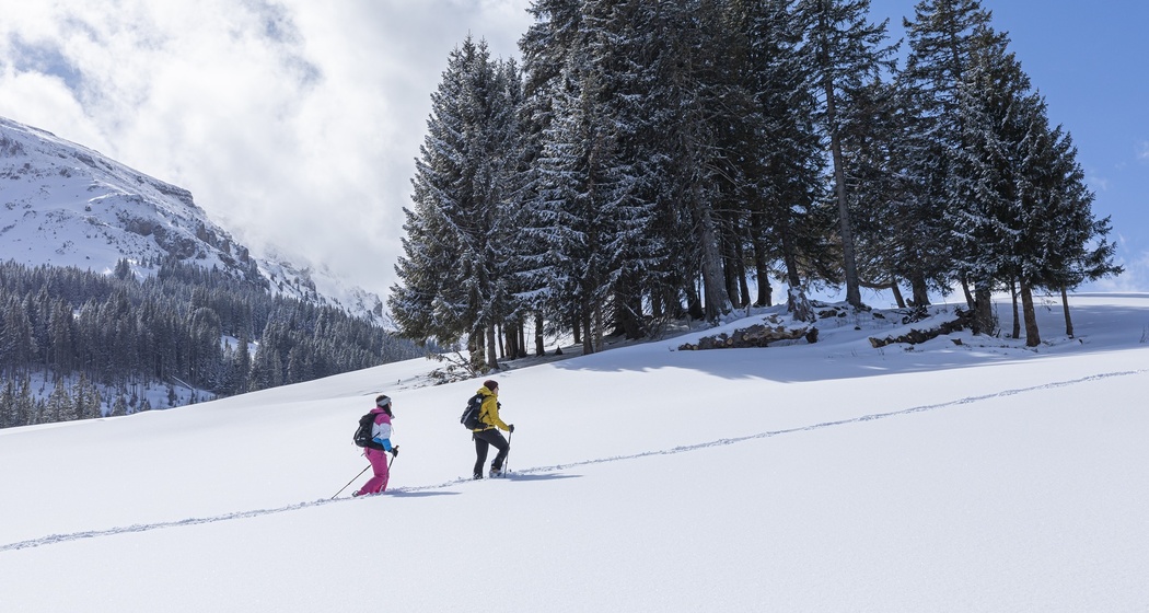 Schneeschuhwanderung Schönhalden