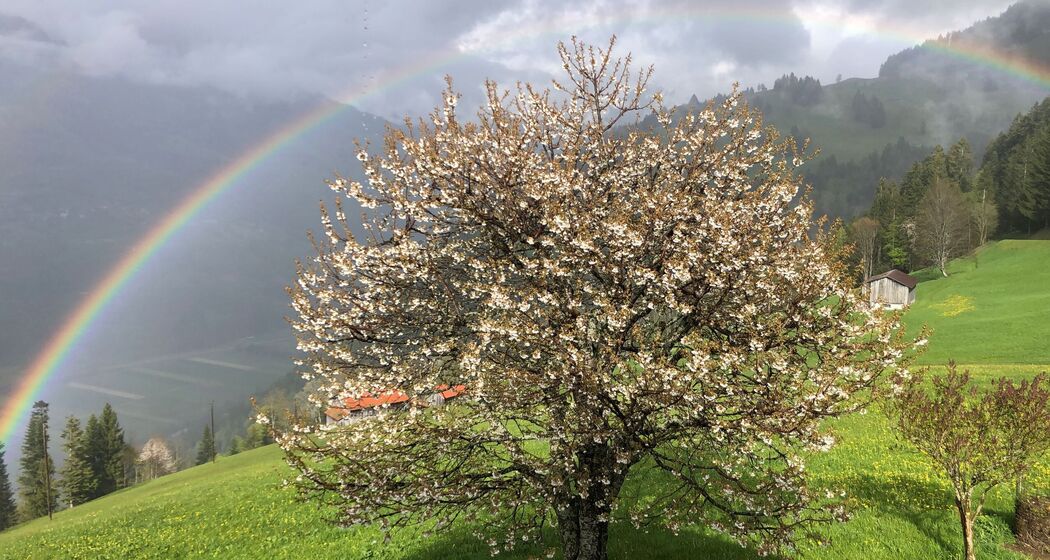 Ferienwohnung Cavadurahof (tom_tds00020014308512041_image)