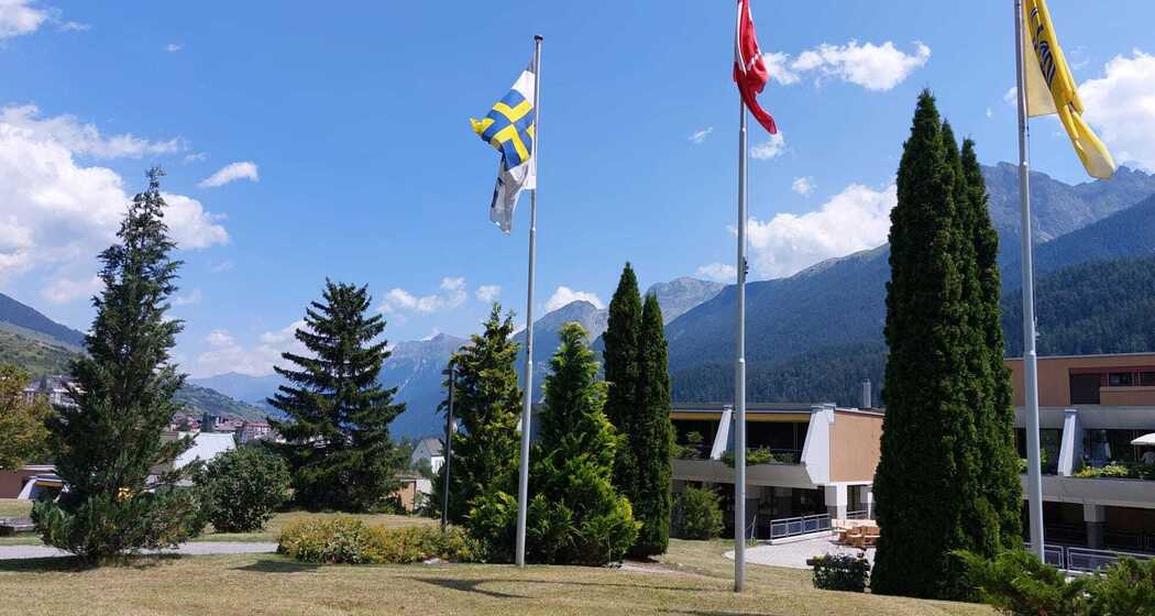 Tulai 89 (tom_tds00020014389291683_image)