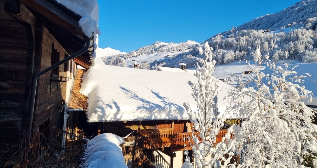 Blick aus dem Fenster