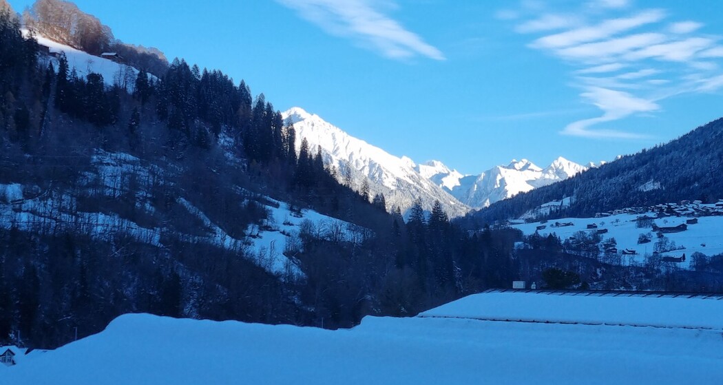 Weitblick aus der Ferienwohnung