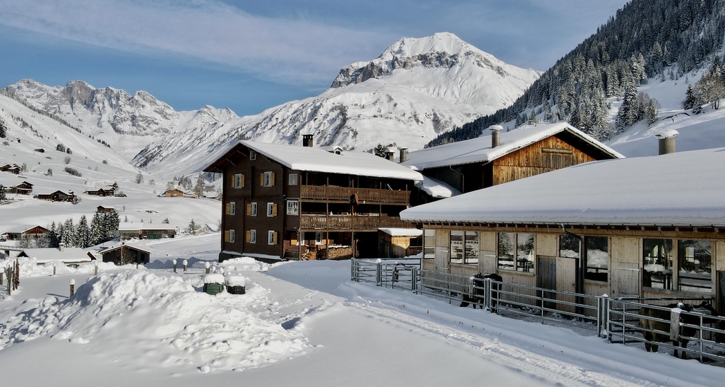 Ferienwohnung Gürgetschhof (tom_tds00020014635133089_image)