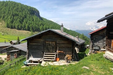 Aussenansicht Sommer