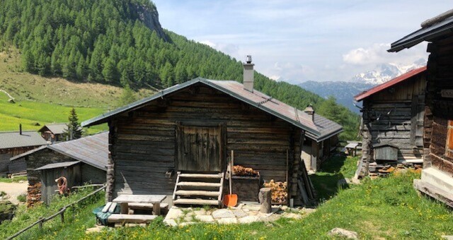 Aussenansicht Sommer