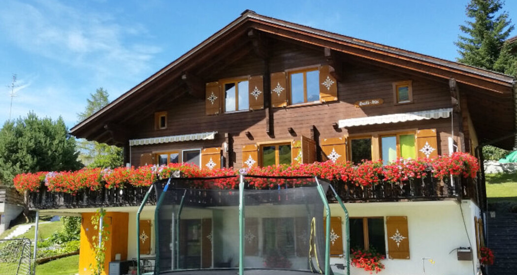 Ferienwohnung Schweizer - Ansicht Sommer