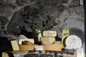 Sennereibesichtigung