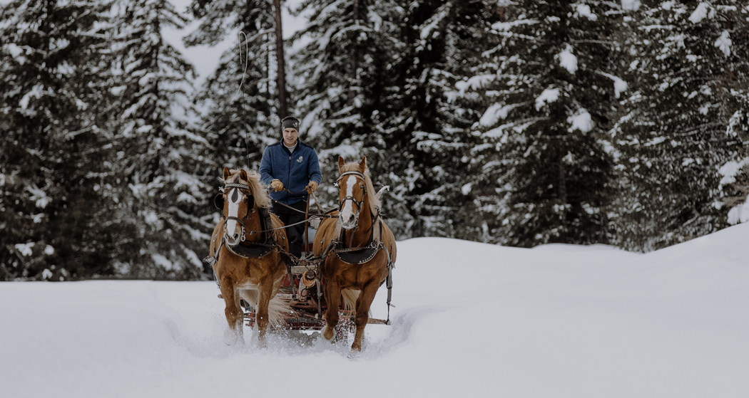 #frausternfotografiert