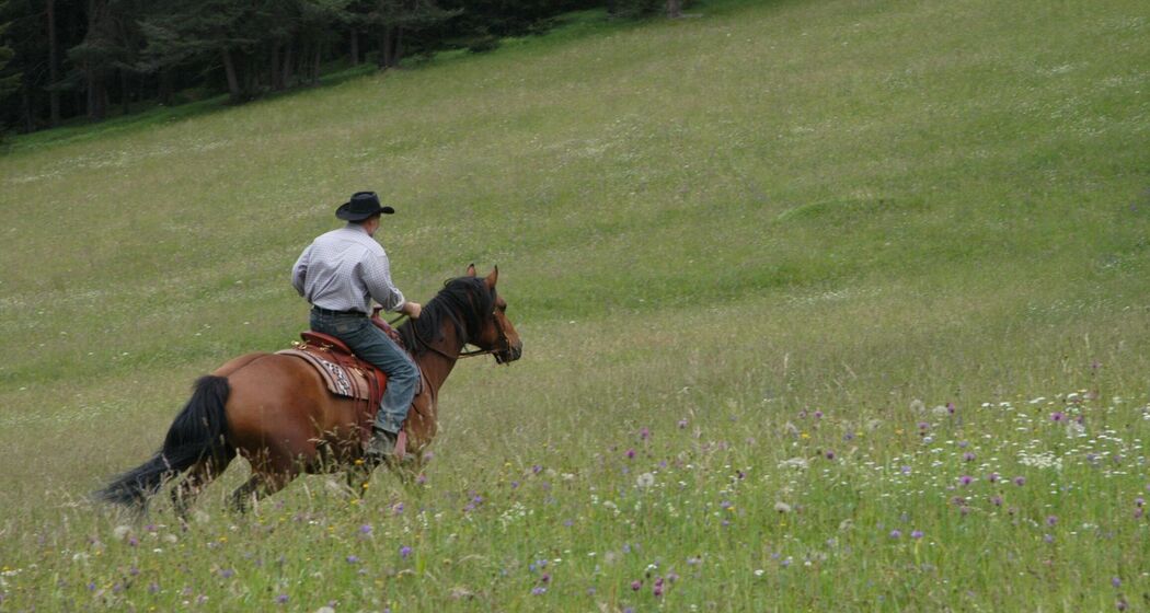 Galopp