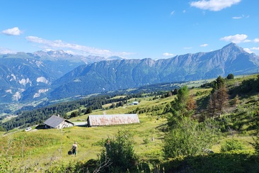 Einblick in den Allpalltag