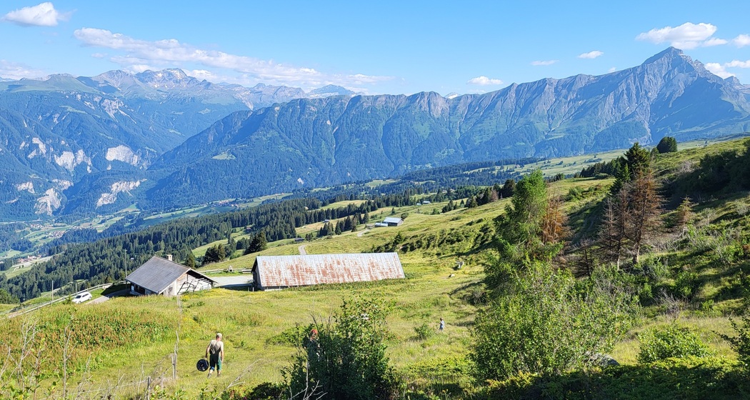 Einblick in den Allpalltag