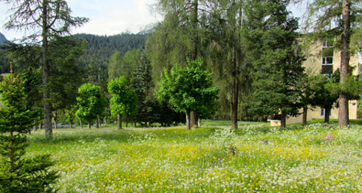 Ferienwohnung Brentsch Park (tom_tds00020014912250402_image)