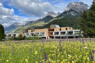 Tulai F81 (tom_tds00020014944819758_image)