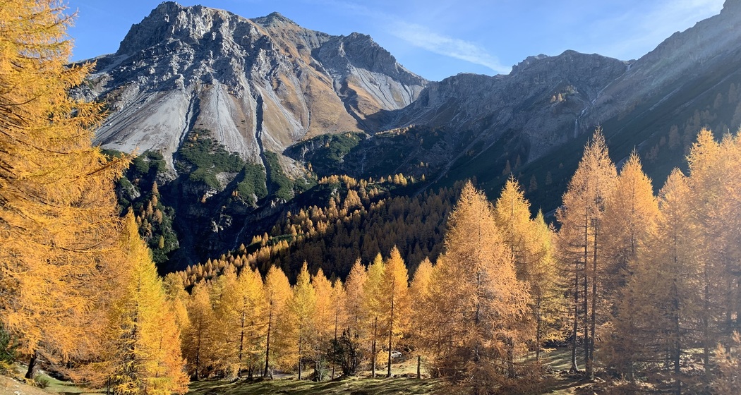 Val Mora im Herbst