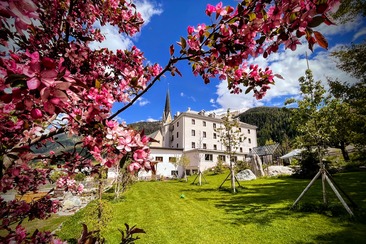 Villa Stelvio B&B (tom_tds00020015173087897_image)