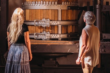 Bündner Weinwanderung