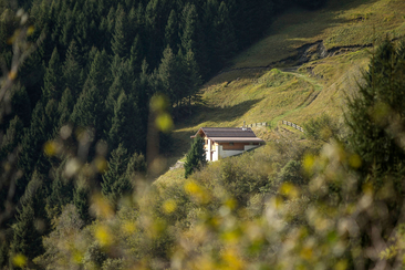 Malga autosufficiente Pundelon, vista dalla strada di accesso