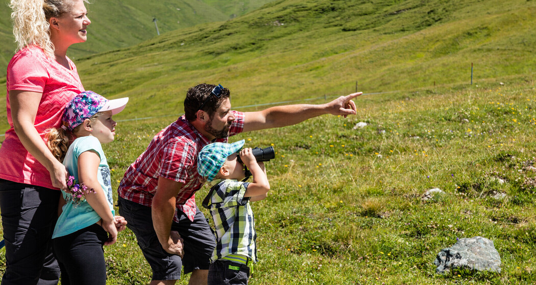 Zu Besuch bei den Murmeltieren