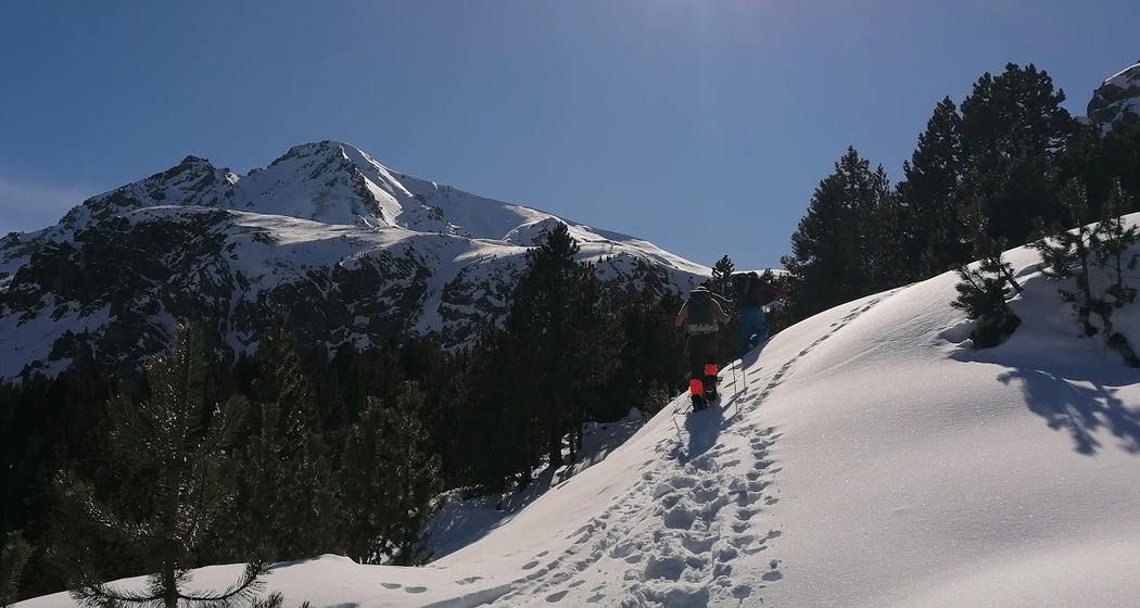 Schneeschuhwandern auf dem Ofenpass