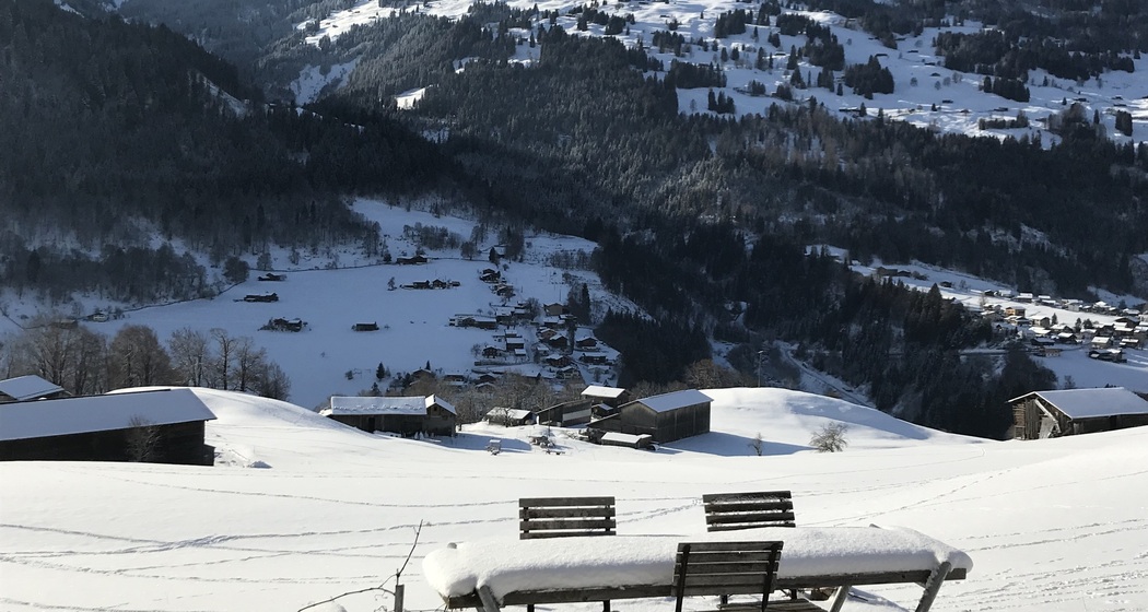 Blick in Richtung Fideriser Heuberge