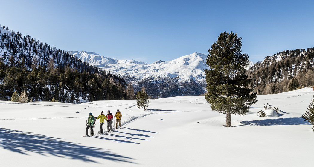Schneeschuhwanderung Zernez
