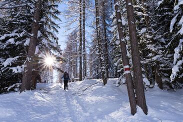 Schneeschuhtour für Kinder