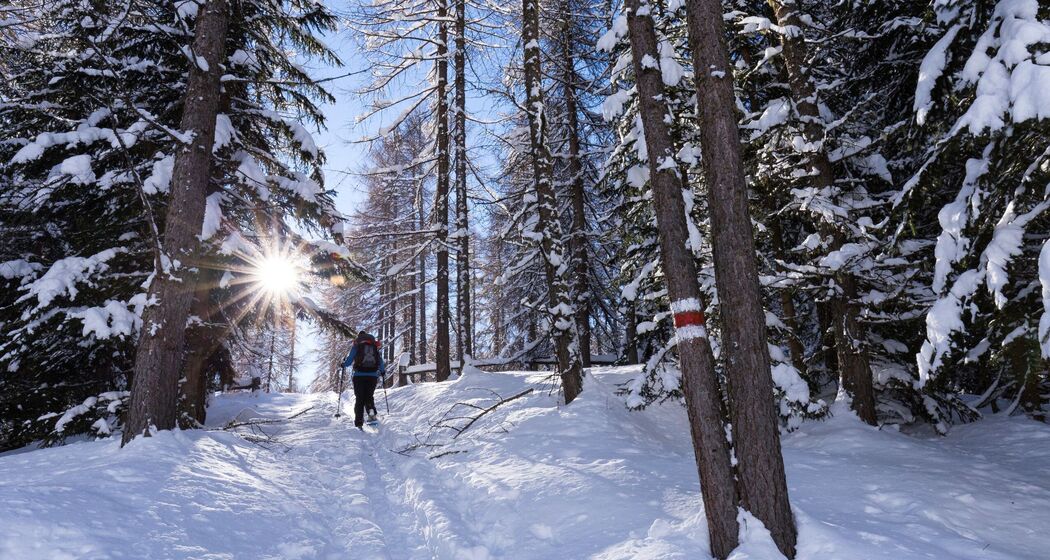 Schneeschuhtour für Kinder
